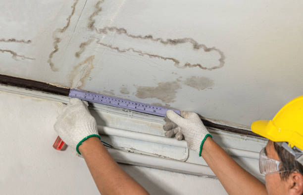 Reliable Sewage Cleanup contractor in Wayland, MI by Water Damage Irwin